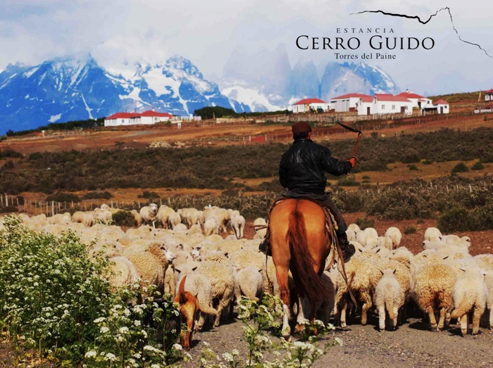 CHI PAI Cerro Guido vista sheep baqueano.jpg (360250 bytes)