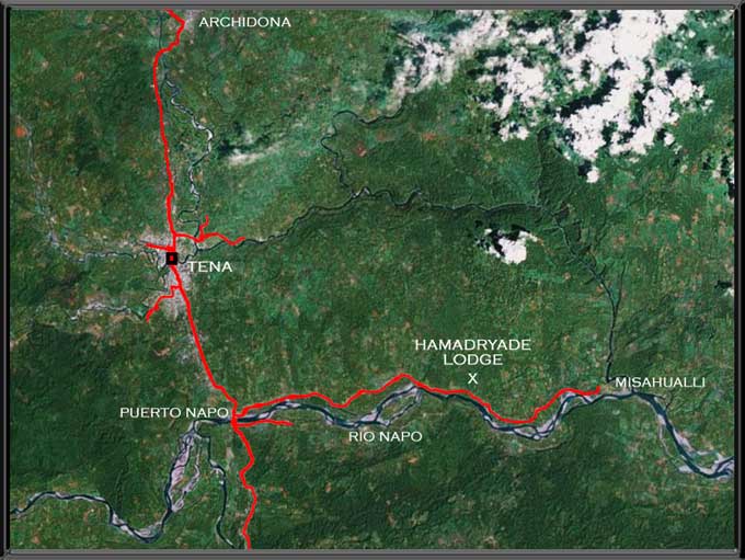 ECU Hamadryade map.jpg (63042 bytes)