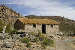 CHI EXPLORA Travesias Bolivia hut.jpg (17737 bytes)